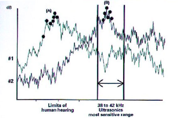 sound spectrum graph